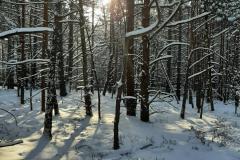Radeland-Siedlung-im-Winter